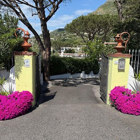 Hotel Park Calitto Forio di Ischia Eksteriør bilde