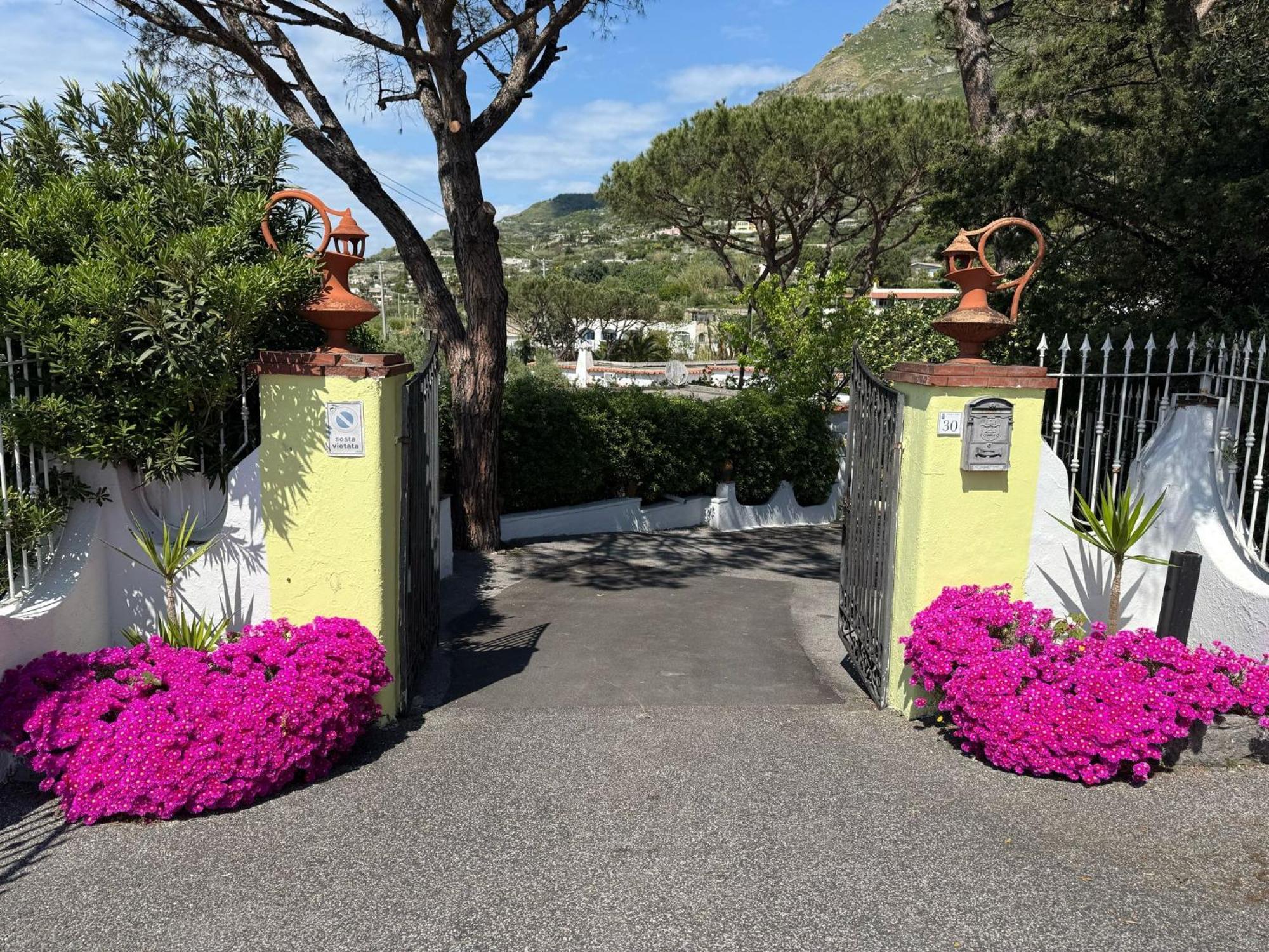 Hotel Park Calitto Forio di Ischia Eksteriør bilde